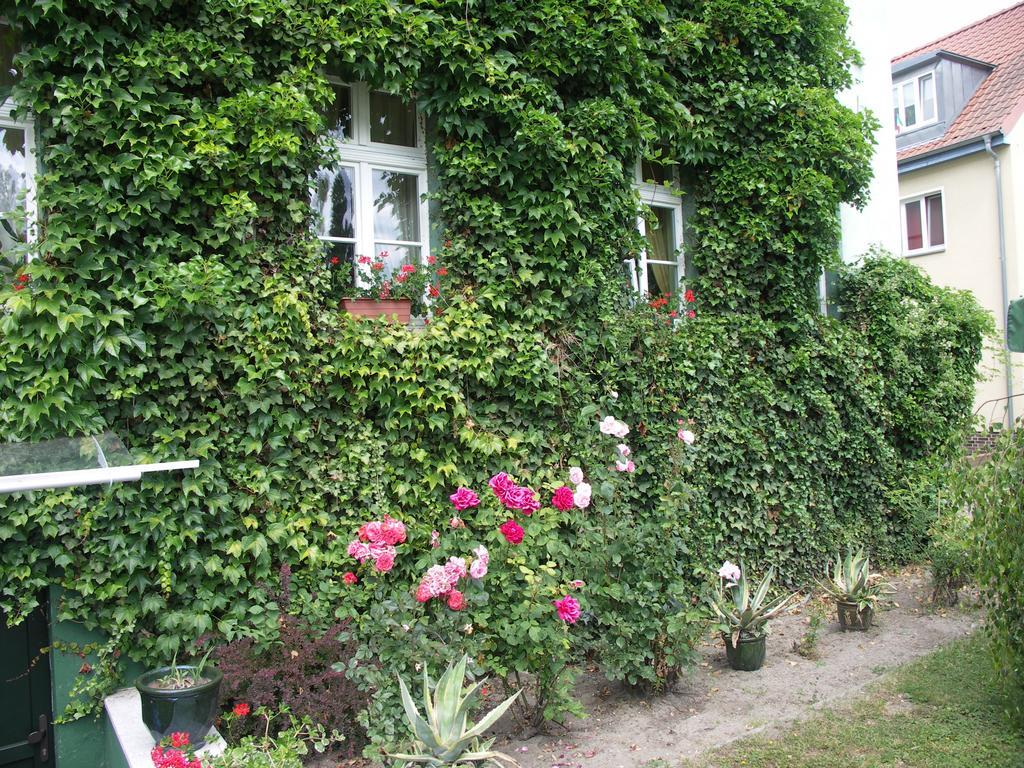 3 Sterne Hotel Frankfurt-Oder Zur Alten Oder Frankfurt  Exterior photo